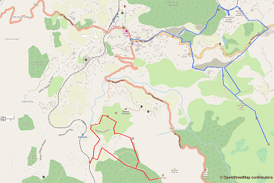 Our hikes in Ella. First day in blue: Little Adam's Peak, followed by the Nine-Arch Bridge. We decided to return to Ella by going through the forest but could have as well followed the railway tracks to Ella Station. Second day in red: we followed the railway tracks from Ella Station to the point on the map where the red line starts, back again on the railway tracks (© OpenStreetMap contributors).