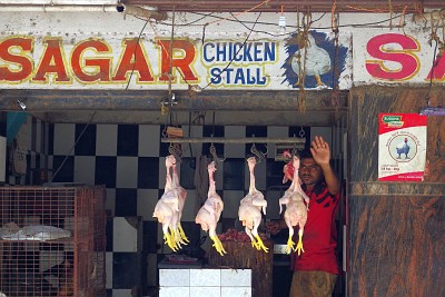 Chicken stall in Mysore