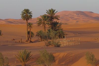 The sand dunes of Erg Chebbi