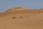 Curving sand dunes at Erg Chebbi - 1 pm.