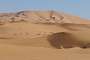 Soft curves and sand dunes in Erg Chebbi - 10.30 am.