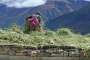 Manang. Woman scattering fresh hay to dry on her roof.