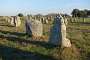 Another view of the standing stones of Carnac. There are nice walks to be had in the countryside around Carnac; I was particularly impressed by the many stone walls skirting footpaths or alleys in woodlands.