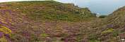 Seeing the colourful heath was a definite highlight of this walk. This photo is a panorama, click the cross on the right below the photo (or press F if viewing on a desktop) to expand it to its real size and use the bottom scroll bar to navigate through it.