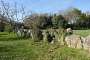 We stayed in a wonderful old farmhouse converted in gîtes right near the GR34. This is a view of the garden with its old stone walls and well.