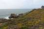 On the way to the Pointe de Trévignon. The path is clearly visible as it skirts the coast.