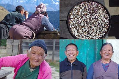Nawang and Kando Sherpa, the friendly hosts of the Everest View Lodge in Phurtyang. On the top left, Nawang is watching their grand children who live down the valley with binoculars while Kando tries to phone them. Bottom left is a picture of Kando's mother, 85 years old; the picture on the top right shows the beans which she has sorted in the sun during the day.