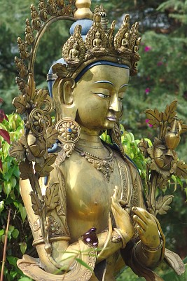 Buddha and the butterfly, Kathmandu