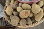 You can actually buy ki Imli (Baobab fruits) in the street in Mandu.