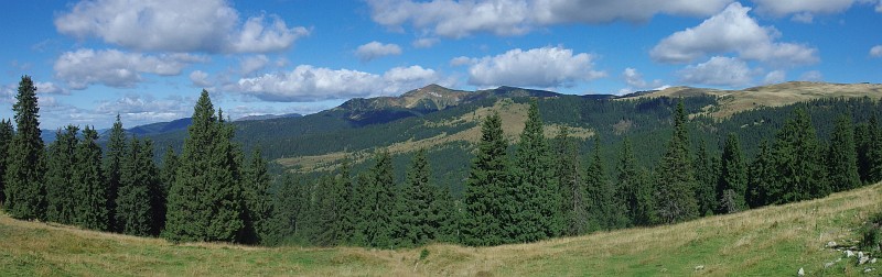 The view from Prislop Pass (1416 m)