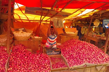 Young Onion Vendor in Hassan
