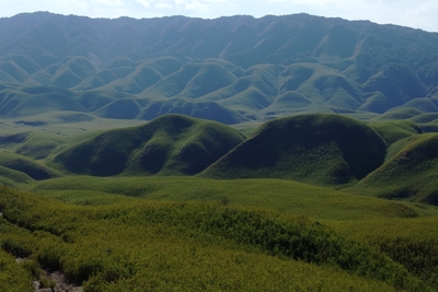 Dzükou Valley.
