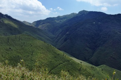 Dzükou Valley.
