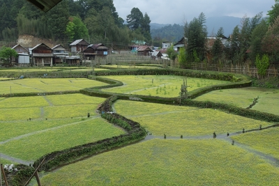 Typical landscape of Ziro Valley.