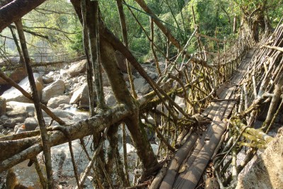 There are many such bridges in the vicinity of Nongriat.