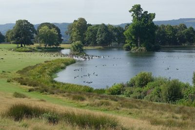The deer park and the upper lake with its numerous wildfowl against the backdrop of the South Downs.