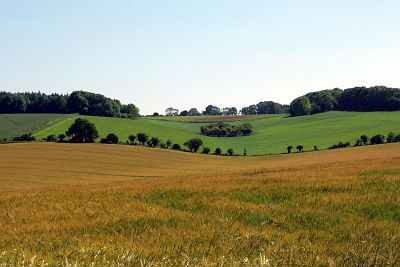 Rolling hills of Hampshire, England