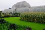 The Palm House was constructed in 1844 by Richard Turner according to Decimus Burton’s designs. It was the first glasshouse built on this scale.