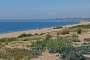 Looking west down Chesil Beach by Abbotsbury.