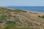 Looking east down Chesil Beach by Abbotsbury with the Portland Peninsula in the background.