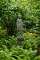 Statue of Bacchus in the garden.